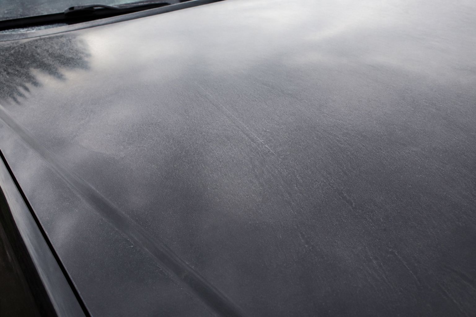 Dull, swirl-marked paint on the hood before correction